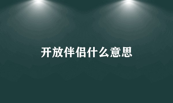 开放伴侣什么意思
