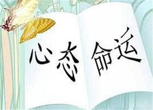 弱者的意志的卡片信息