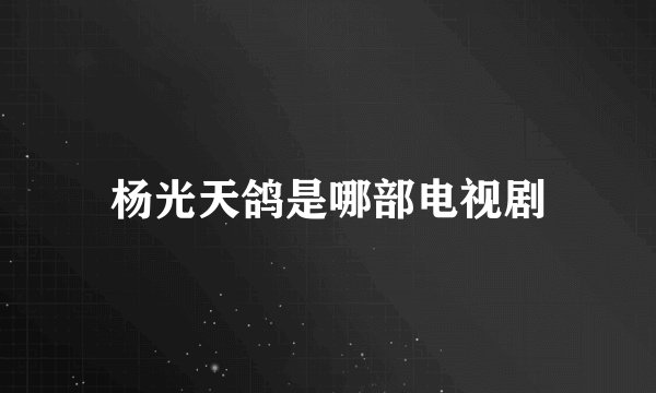 杨光天鸽是哪部电视剧