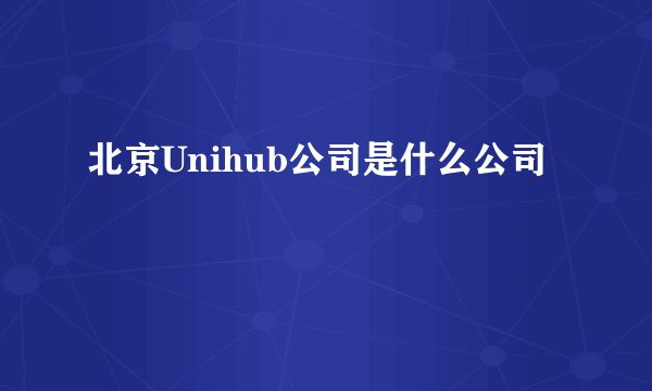 北京Unihub公司是什么公司