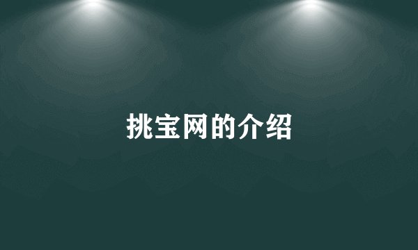 挑宝网的介绍