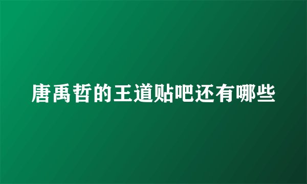 唐禹哲的王道贴吧还有哪些