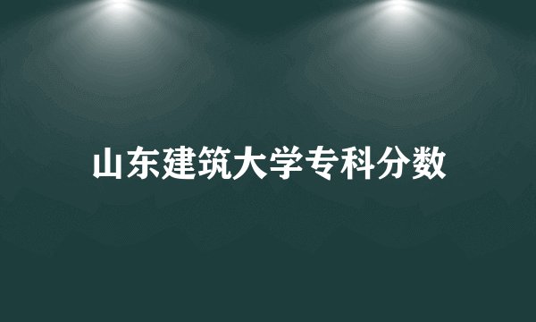 山东建筑大学专科分数