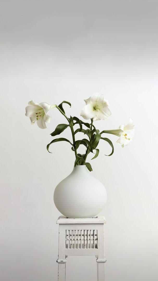 工作狂是什么意思