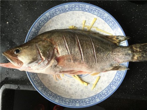 桂鱼多少钱一斤市场价格