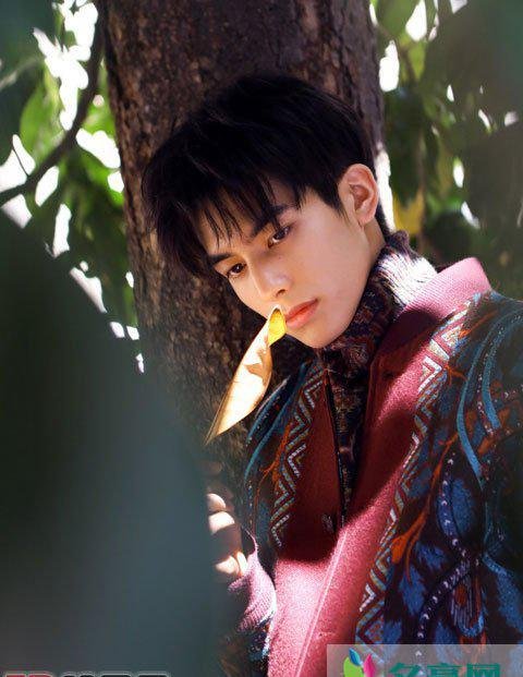 宋威龙假报年龄? 感觉不像99年偏成熟的长相