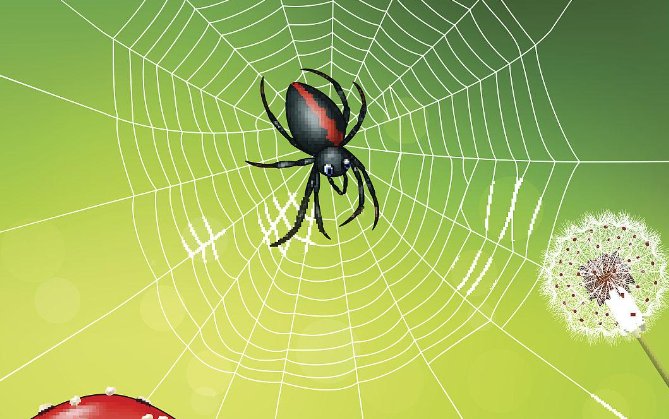 蜘蛛是特吗打一生肖