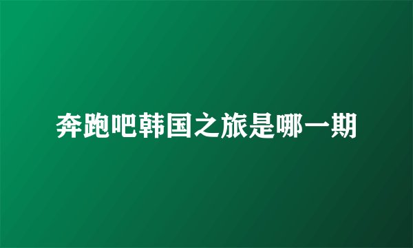 奔跑吧韩国之旅是哪一期