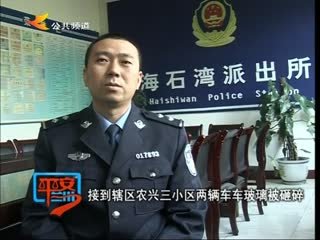 疯狂的蟊贼的剧情介绍