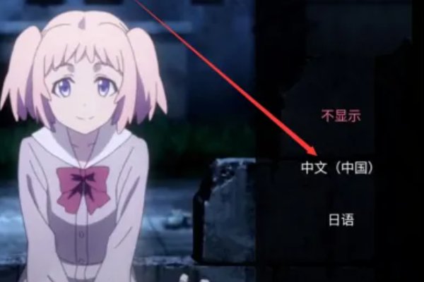 怎么在b站上调中文字幕日文字幕同时显示