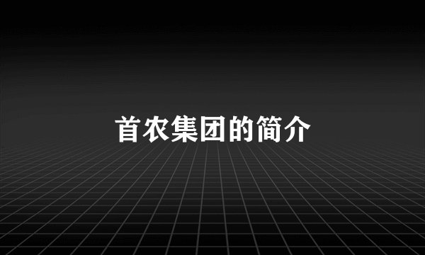 首农集团的简介
