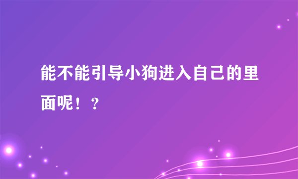 能不能引导小狗进入自己的里面呢！？