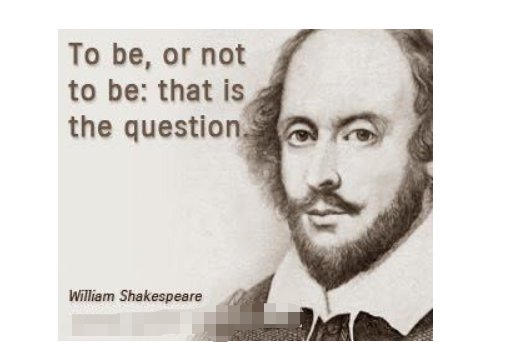 tobeornottobe是什么意思？