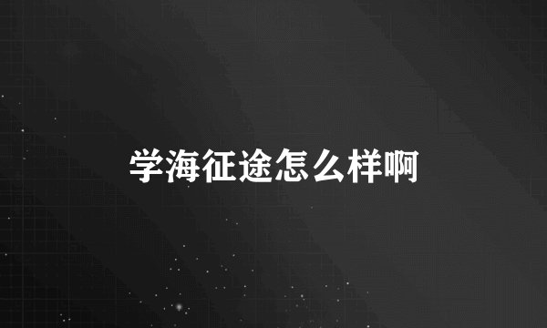 学海征途怎么样啊