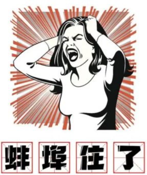 苦茶子是什么意思