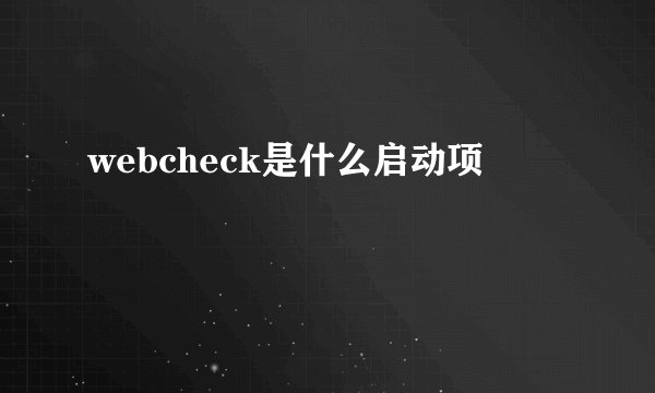 webcheck是什么启动项