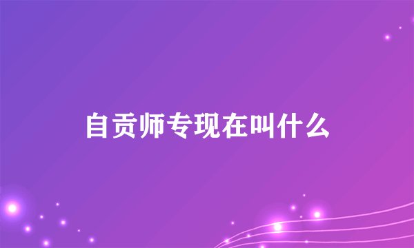 自贡师专现在叫什么