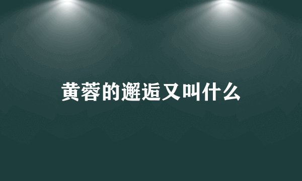 黄蓉的邂逅又叫什么