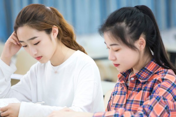 胆大心细打一动物生肖