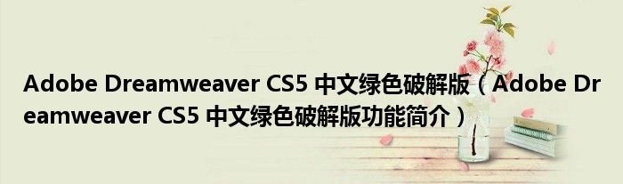 AdobeDreamweaverCS5中文绿色破解版AdobeDreamweaverCS5中文绿色破解版功能简介