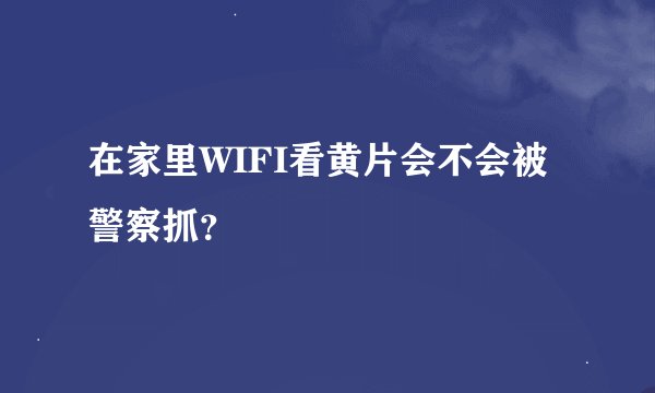 在家里WIFI看黄片会不会被警察抓？