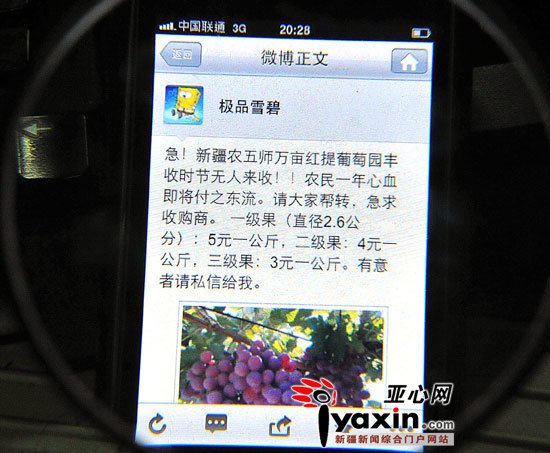 极品手机兑换的内容简介