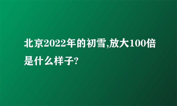 北京2022年的初雪,放大100倍是什么样子?