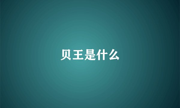 贝王是什么