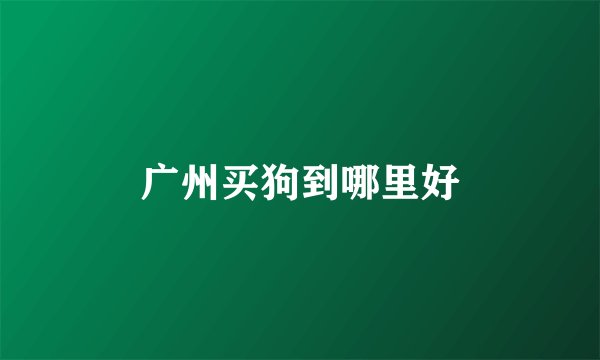 广州买狗到哪里好