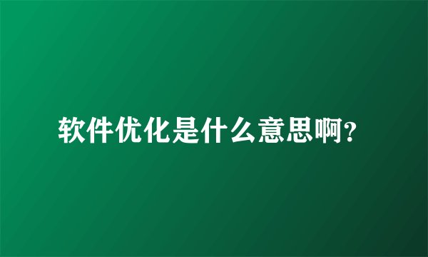 软件优化是什么意思啊？