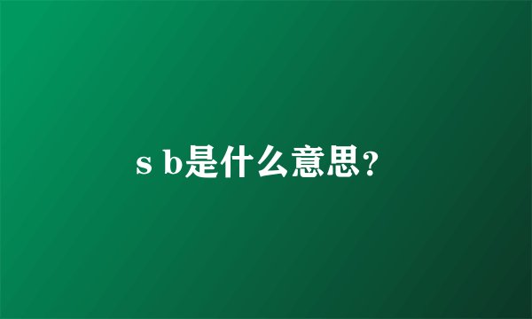 s b是什么意思？