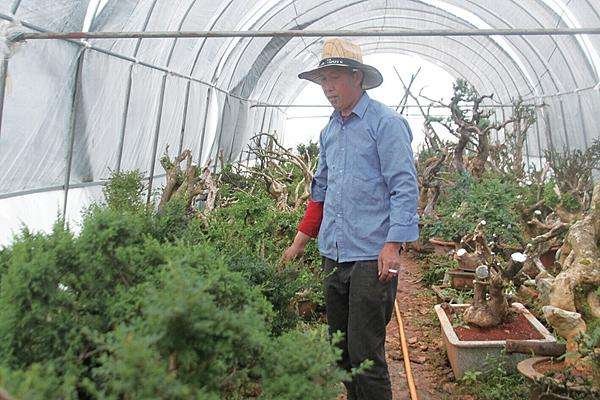 中央电视台的《致富经》栏目真的能让人致富吗？