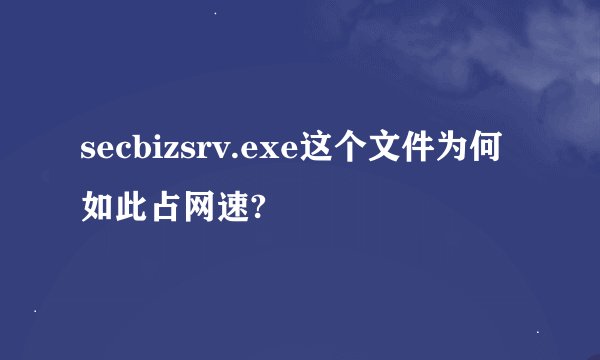 secbizsrv.exe这个文件为何如此占网速?