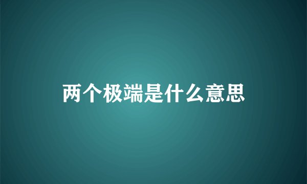 两个极端是什么意思