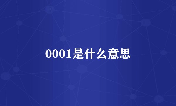 0001是什么意思