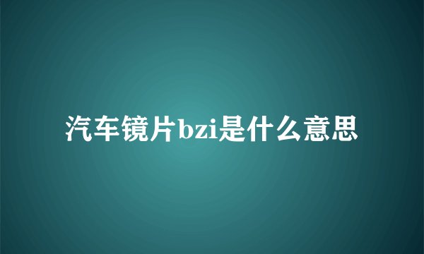 汽车镜片bzi是什么意思
