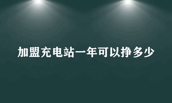 加盟充电站一年可以挣多少