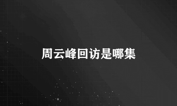 周云峰回访是哪集