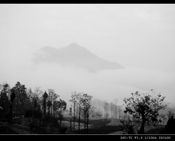 巫山梦网的梦网简介