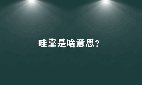 哇靠是啥意思？
