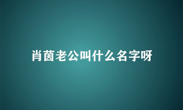 肖茵老公叫什么名字呀