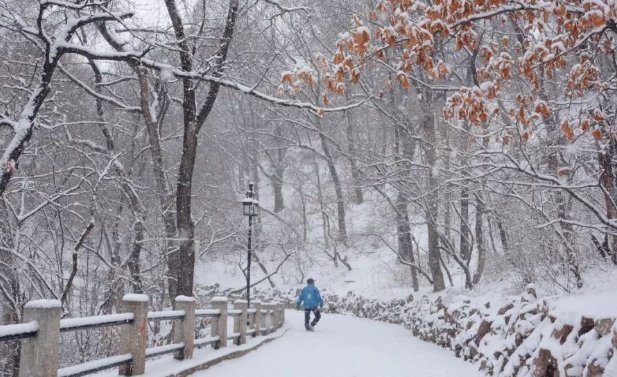 北京等6省份部分地区大雪，局地暴雪，这种天气下出行需要警惕什么？