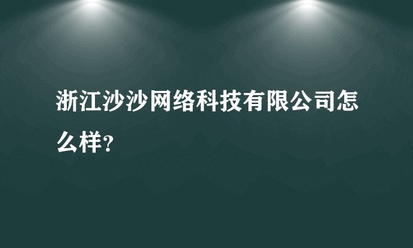 浙江沙沙网络科技有限公司怎么样？