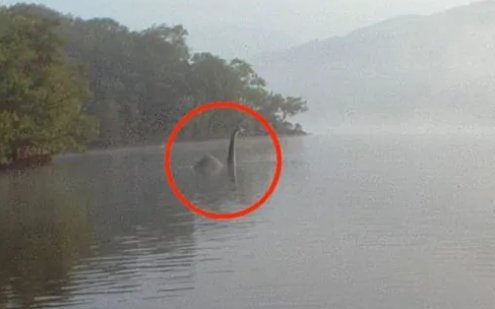 尼斯湖水怪有性别吗