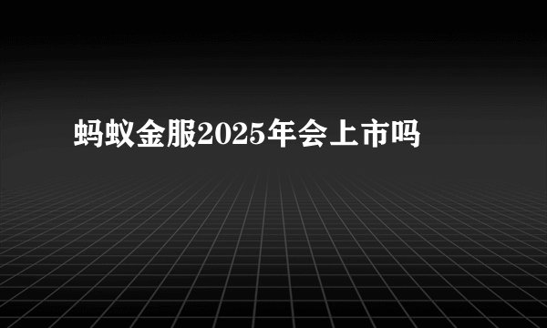 蚂蚁金服2025年会上市吗