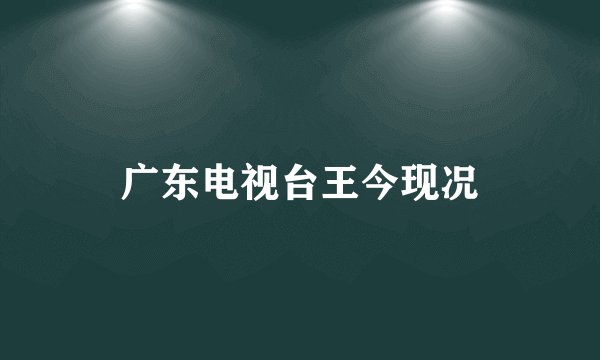 广东电视台王今现况