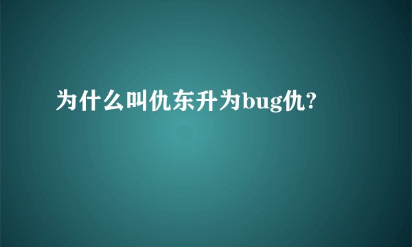 为什么叫仇东升为bug仇?