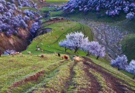 不负春光与时行的意思是什么？