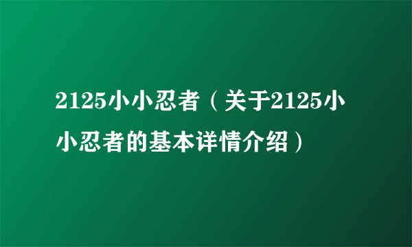 2125小小忍者（关于2125小小忍者的基本详情介绍）