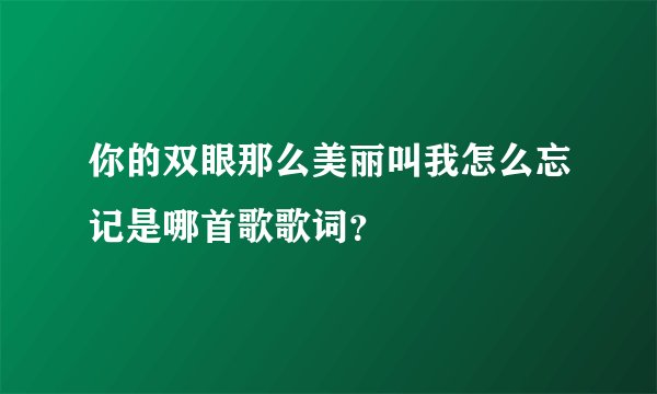 你的双眼那么美丽叫我怎么忘记是哪首歌歌词？